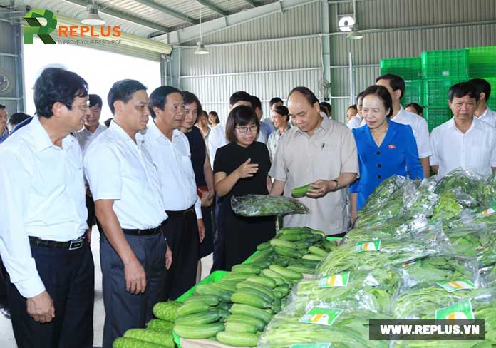 hỗ-trợ-doanh-nghiệp-nông-nghiệp
